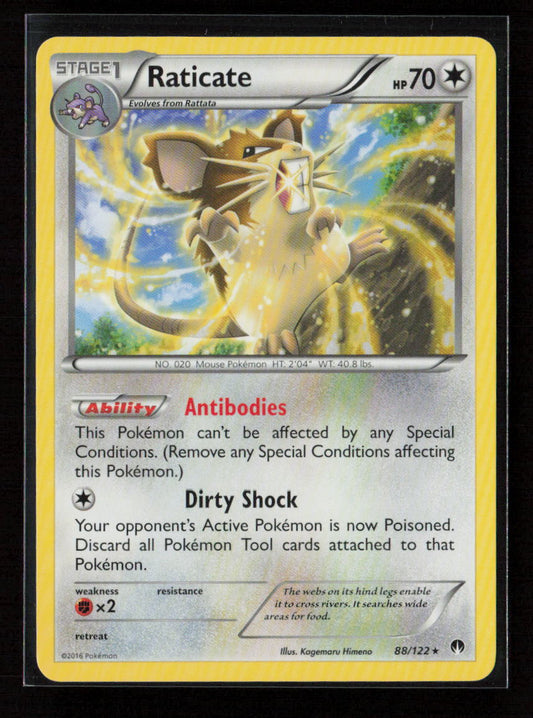 Raticate Rare XY - BREAKpoint 88/122 LP