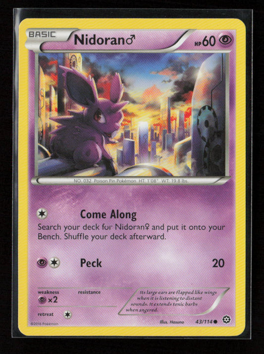 Nidoran M Common XY - Steam Siege 43/114 LP