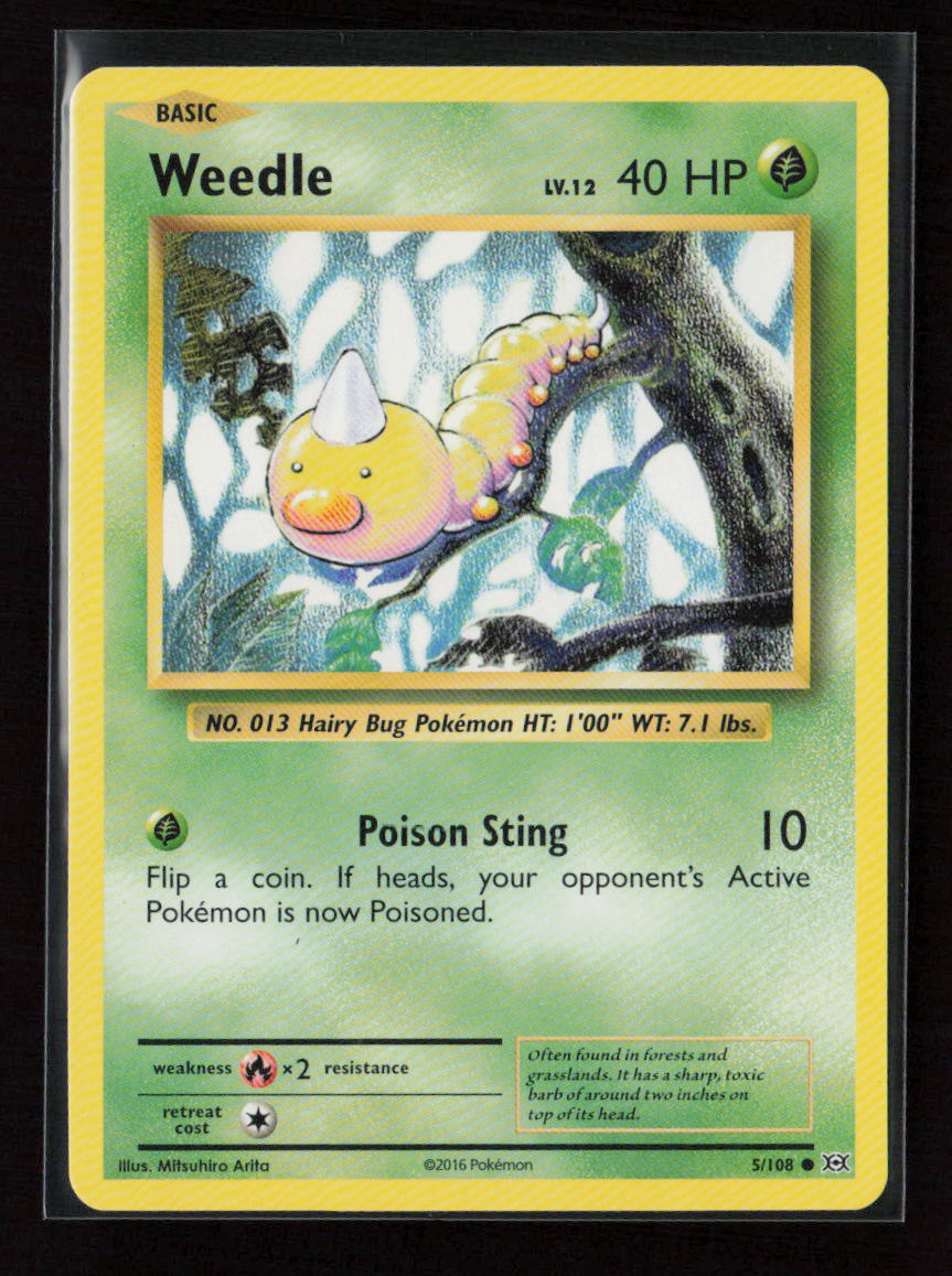 Weedle Common XY - Evolutions 5/108 LP