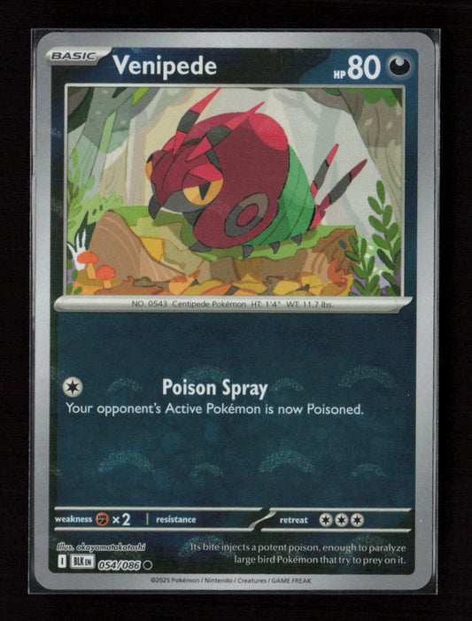 Venipede (Poke Ball Pattern) Common SV: Black Bolt 054/086 NM