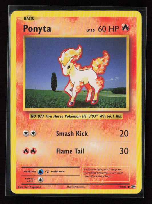 Ponyta Common XY - Evolutions 19/108 NM - Kang's Collectibles