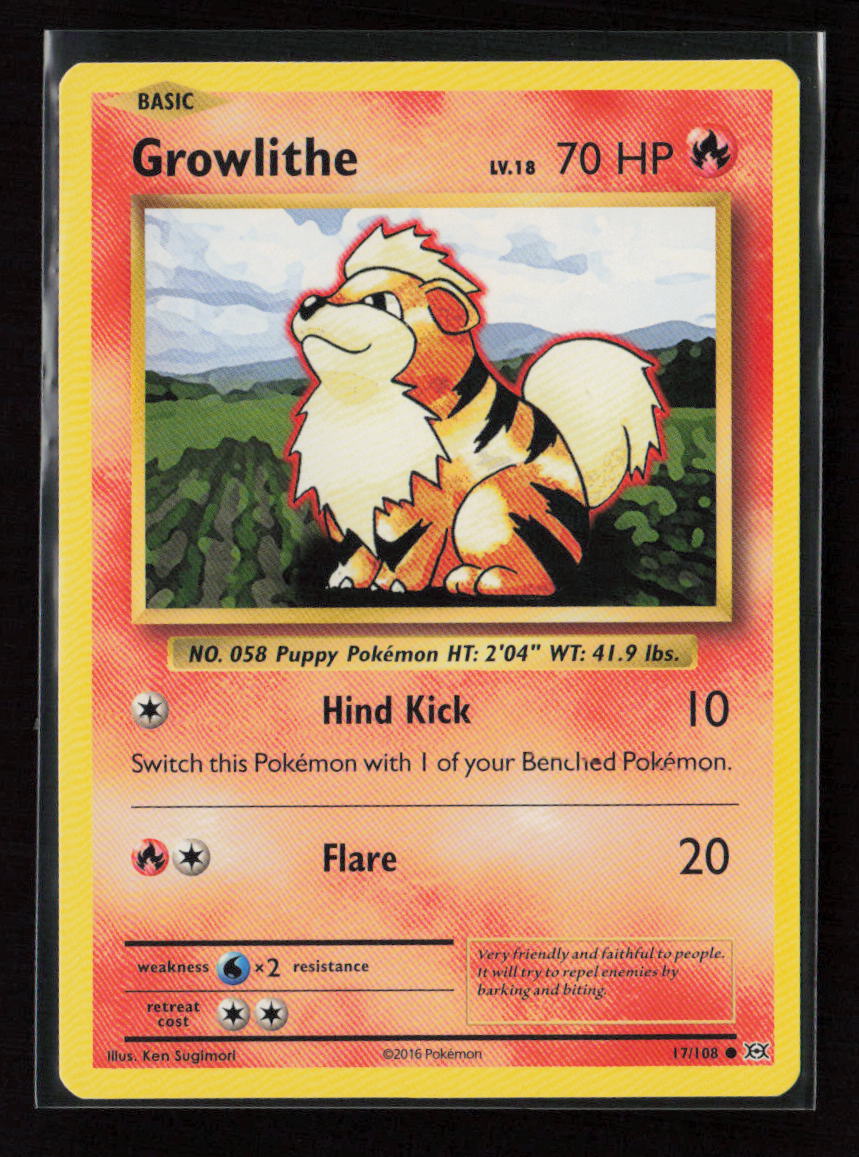 Growlithe Common XY - Evolutions 17/108 LP