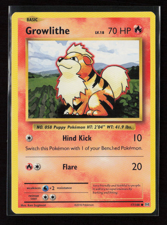 Growlithe Common XY - Evolutions 17/108 LP