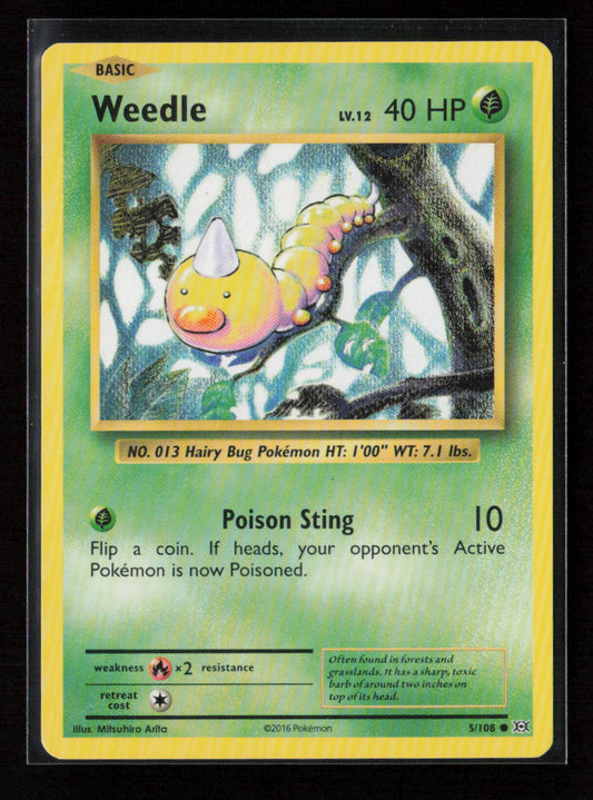 Weedle Common XY - Evolutions 5/108 LP
