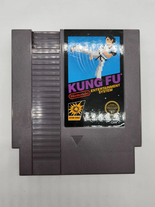 NES Kung Fu (5 Screw) - Kang's Collectibles