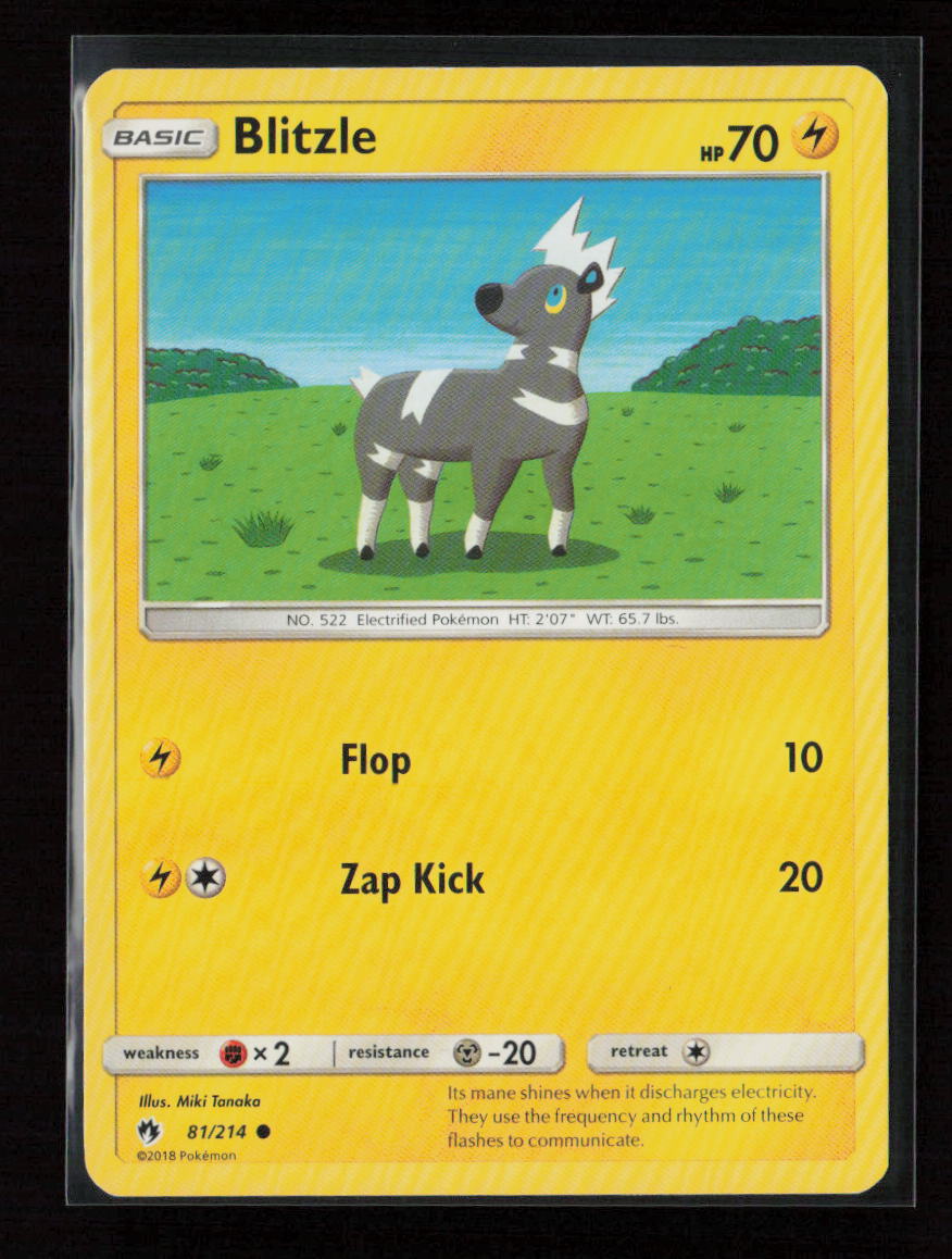 Blitzle -  (#45 Pikachu Stamped) Promo Battle Academy 081/214 LP