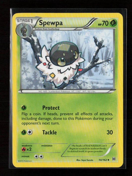 Spewpa Uncommon XY - BREAKthrough 14/162 LP - Kang's Collectibles
