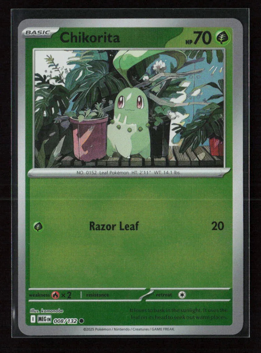 Chikorita Common ME01: Mega Evolution 008/132 NM - Kang's Collectibles