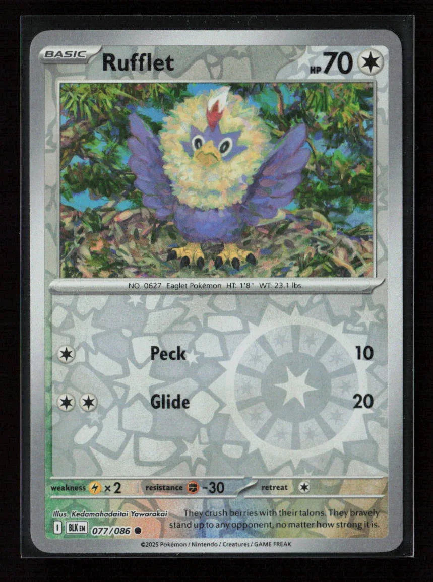 Rufflet Common SV: Black Bolt 077/086 NM - Kang's Collectibles
