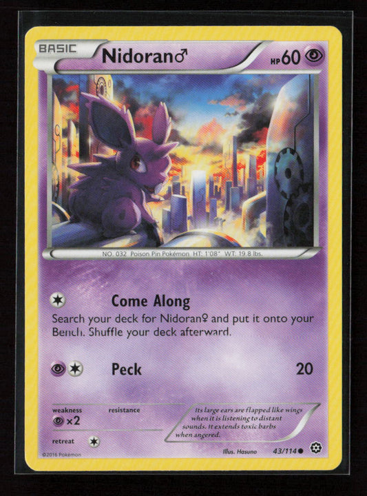 Nidoran M Common XY - Steam Siege 43/114 LP