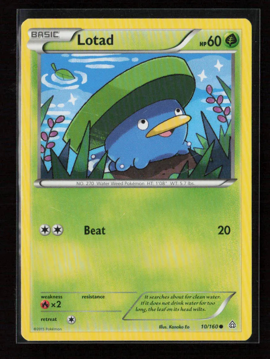 Lotad Common XY - Primal Clash 10/160 NM - Kang's Collectibles