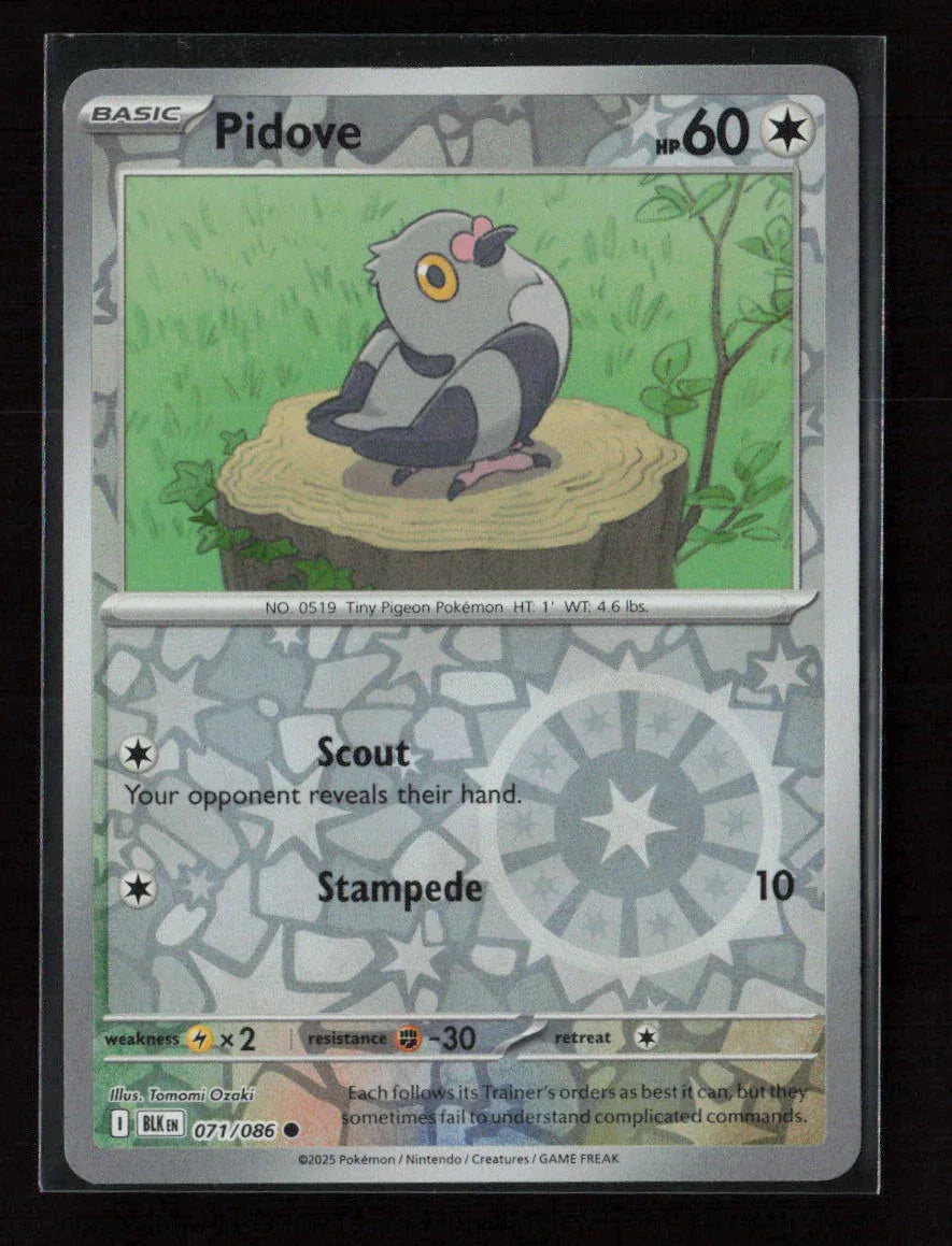 Pidove Common SV: Black Bolt 071/086 NM