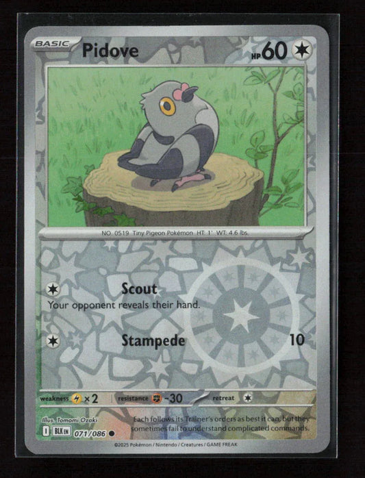 Pidove Common SV: Black Bolt 071/086 NM