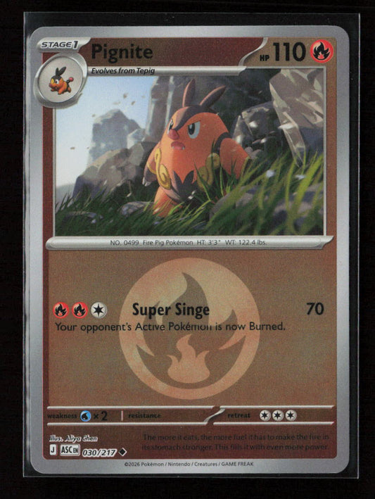 Pignite Uncommon ME: Ascended Heroes 030/217 NM