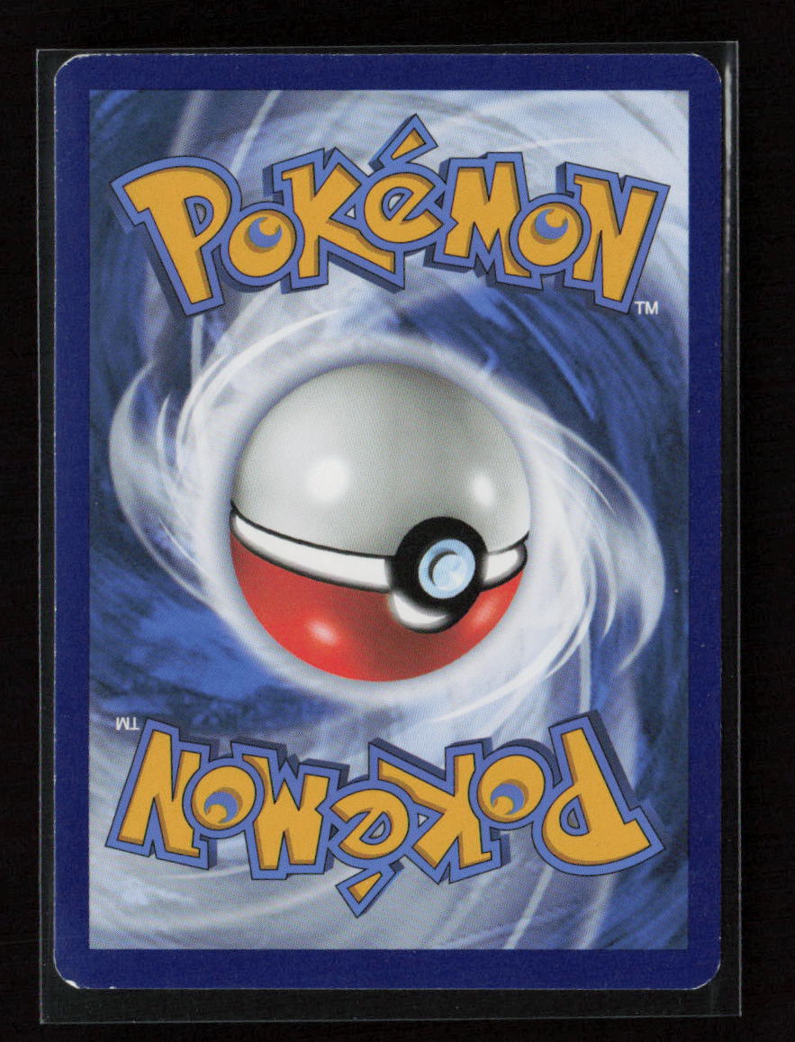 Cramorant Uncommon SWSH04: Vivid Voltage 040/185 LP (Back)