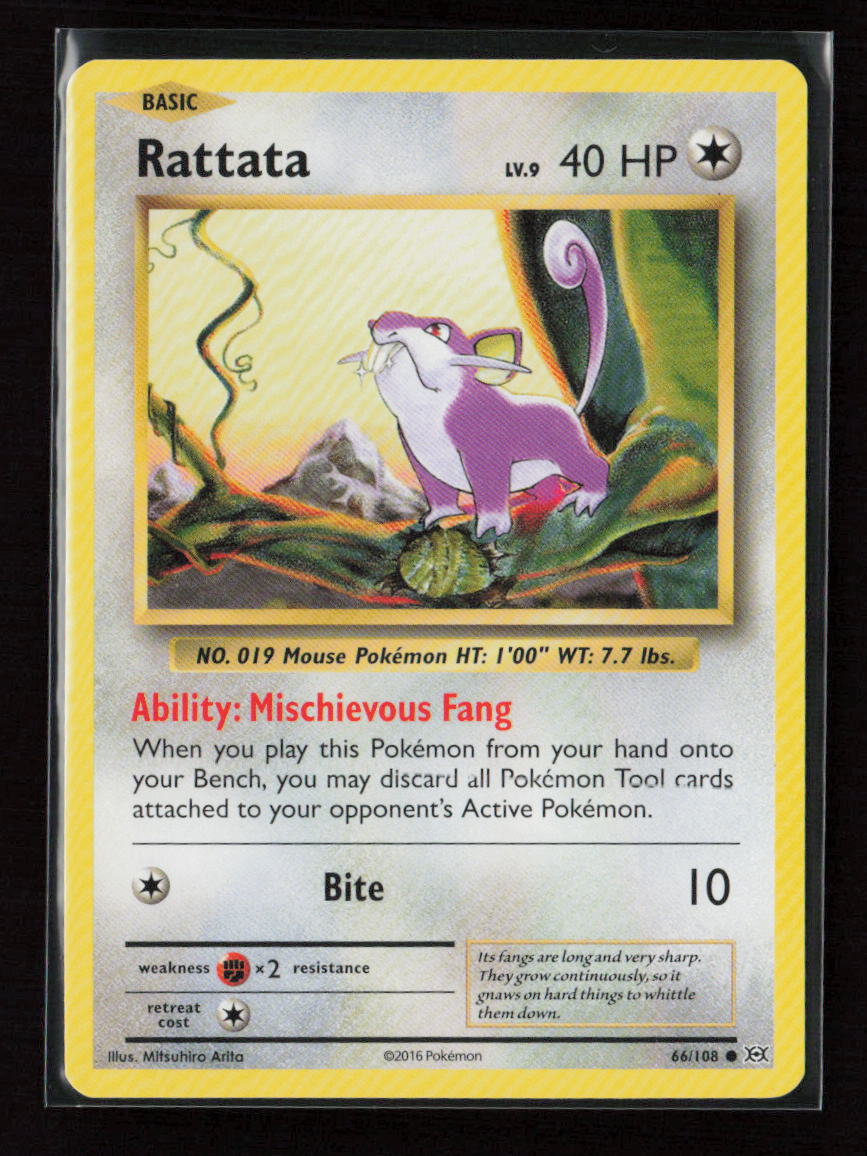 Rattata Common XY - Evolutions 66/108 LP