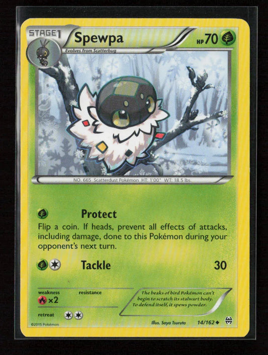 Spewpa Uncommon XY - BREAKthrough 14/162 LP - Kang's Collectibles