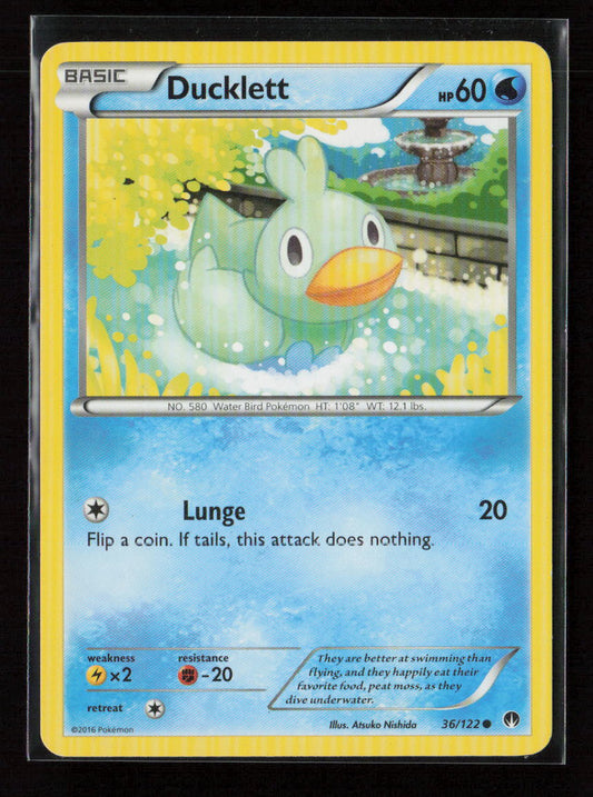 Ducklett Common XY - BREAKpoint 36/122 LP