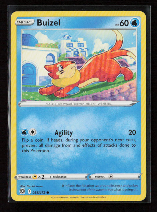 Buizel Common SWSH09: Brilliant Stars 038/172 LP