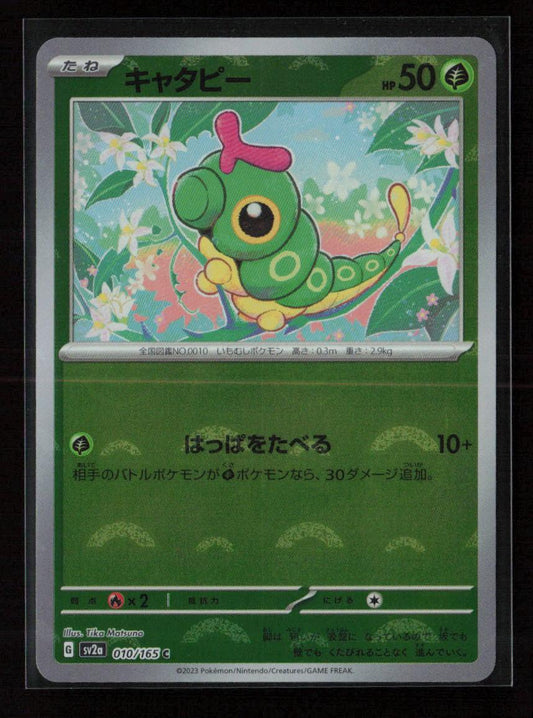 Caterpie - (Poke Ball Pattern) Common SV2a: Pokemon Card 151 010/165 NM - Kang's Collectibles