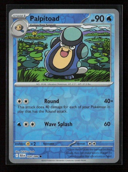 Palpitoad Common SV: Black Bolt 020/086 NM - Kang's Collectibles