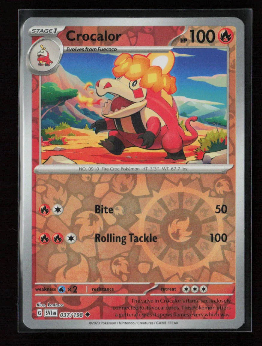 Crocalor Uncommon SV01: Scarlet & Violet Base Set 037/198 NM - Kang's Collectibles