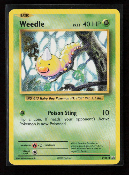 Weedle Common XY - Evolutions 5/108 NM - Kang's Collectibles