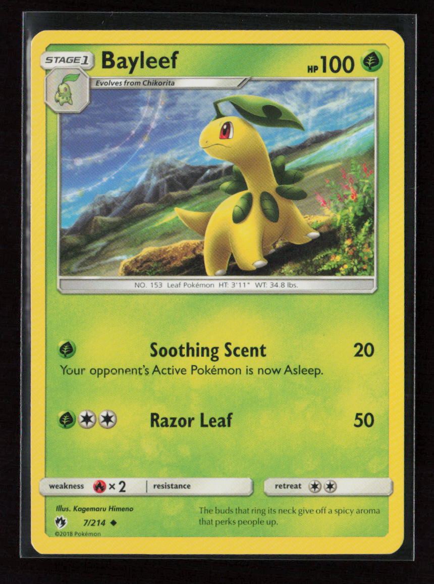Bayleef Uncommon SM - Lost Thunder 7/214 LP