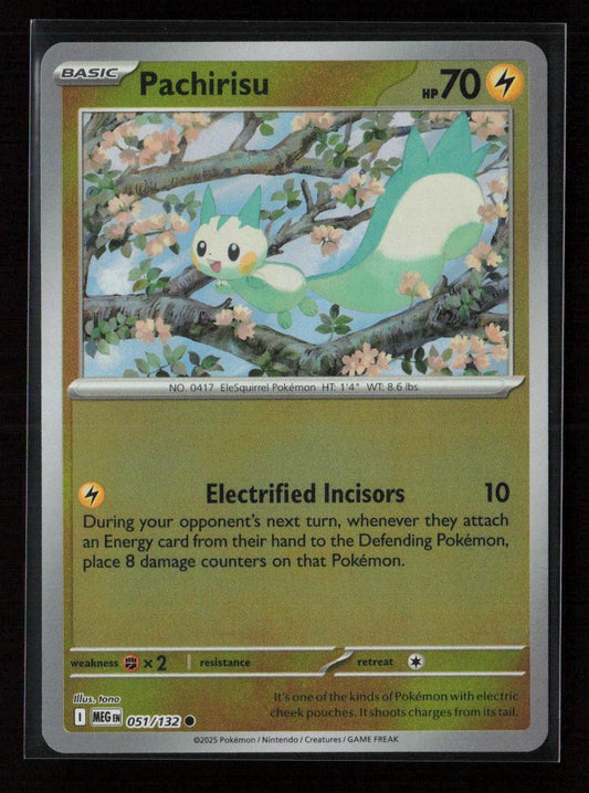 Pachirisu Common ME01: Mega Evolution 051/132 NM - Kang's Collectibles