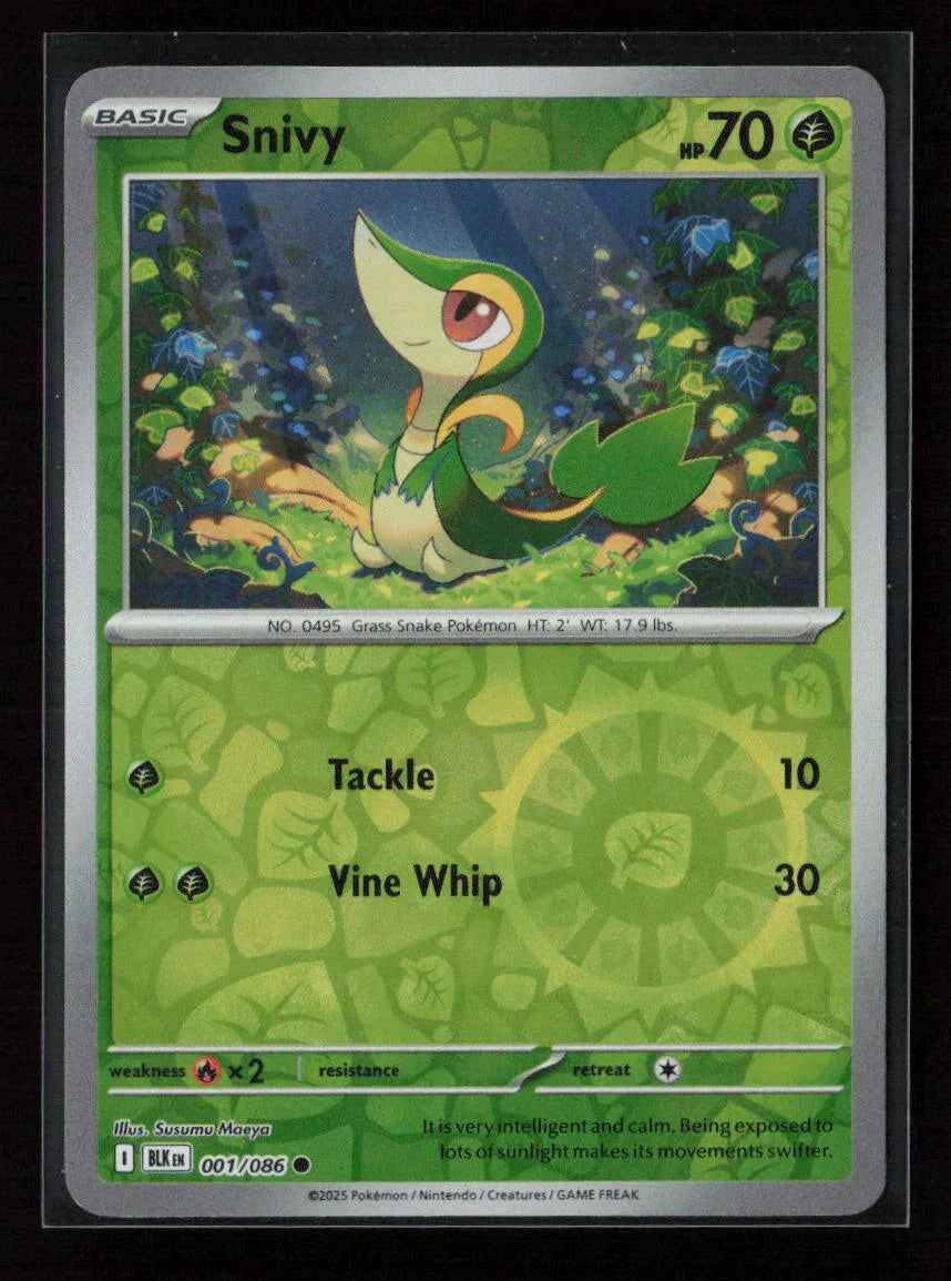 Snivy Common SV: Black Bolt 001/086 NM - Kang's Collectibles