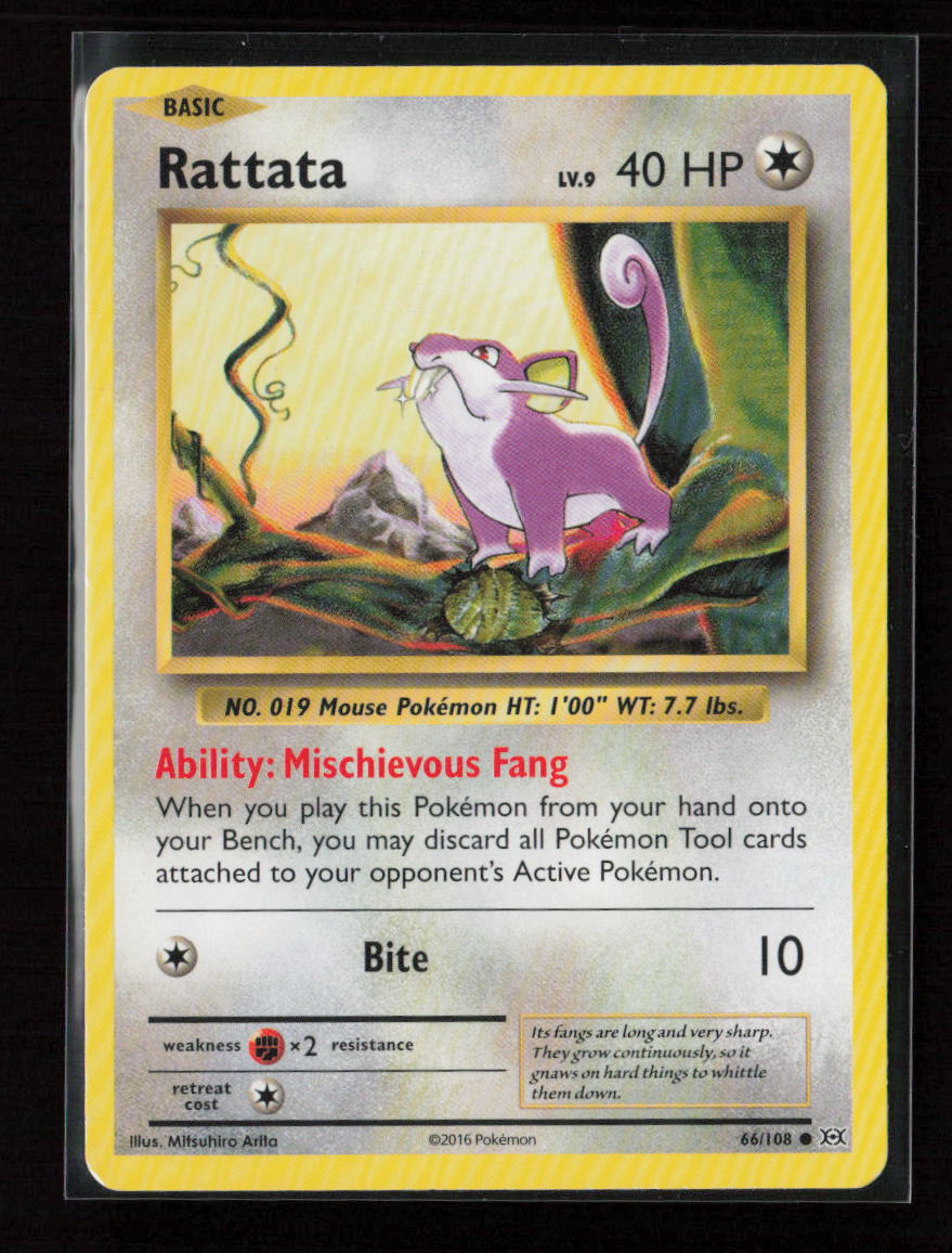 Rattata Common XY - Evolutions 66/108 LP
