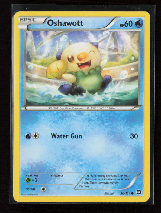Oshawott Common XY - Steam Siege 30/114 LP