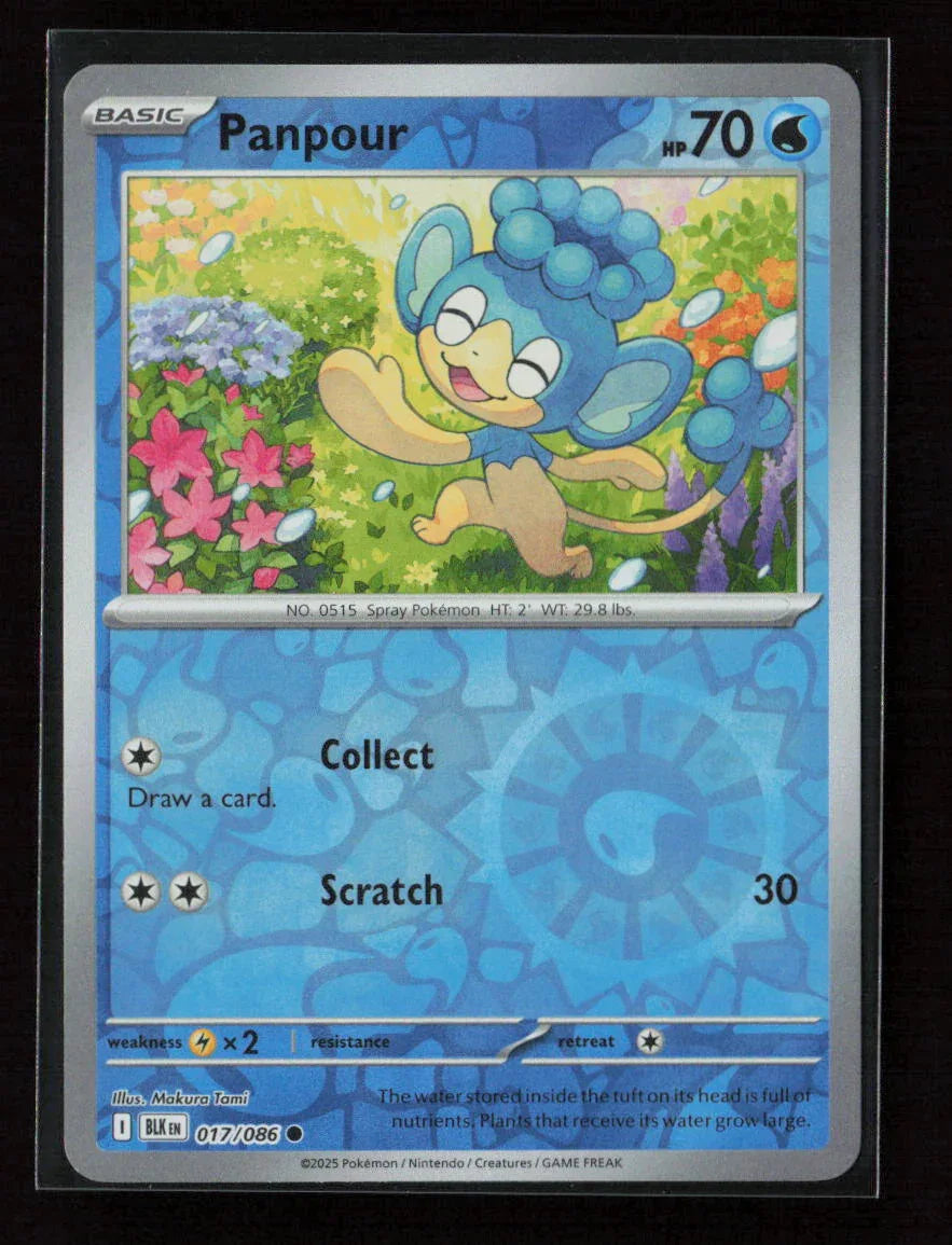 Panpour Common SV: Black Bolt 017/086 NM - Kang's Collectibles
