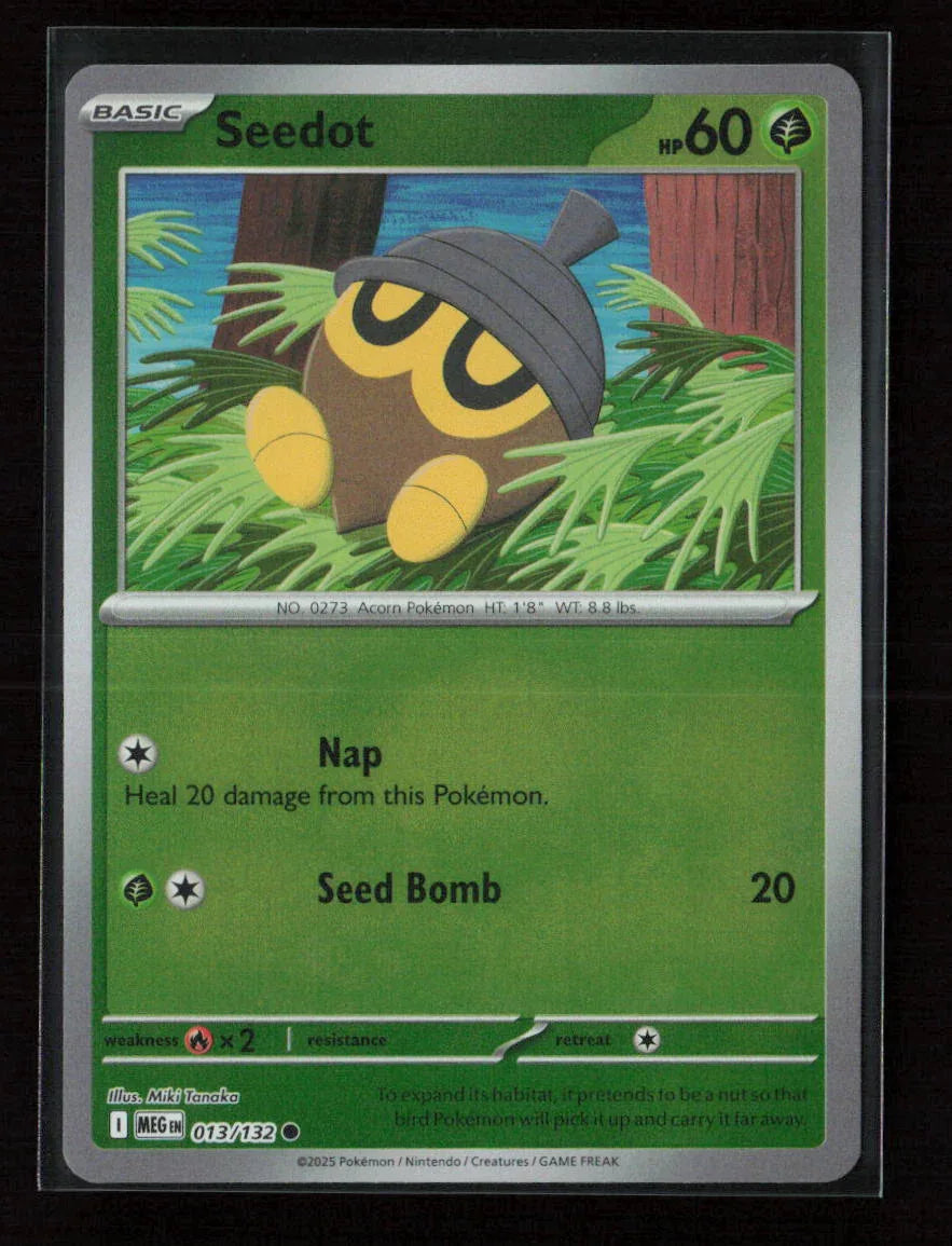 Seedot Common ME01: Mega Evolution 013/132 NM - Kang's Collectibles