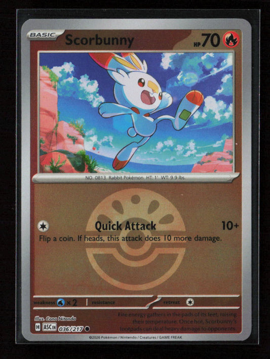 Scorbunny - Common ME: Ascended Heroes 036/217 NM