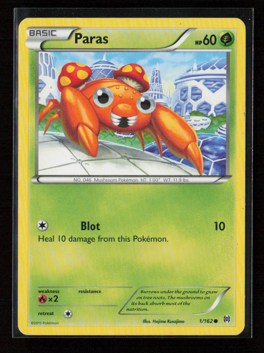 Paras Common XY - BREAKthrough 1/162 MP