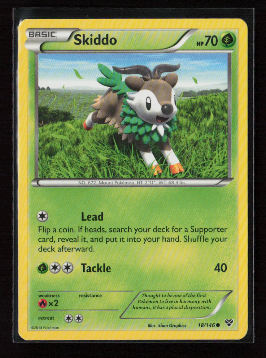 Skiddo Common XY Base Set 18/146 LP