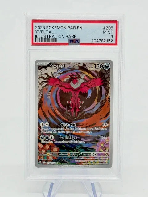 PSA 9 - Yveltal #205 - Kang's Collectibles