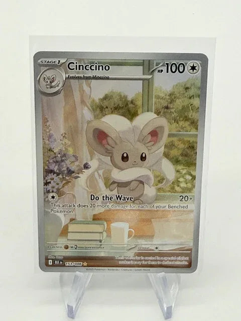 Cinccino #153 - Kang's Collectibles