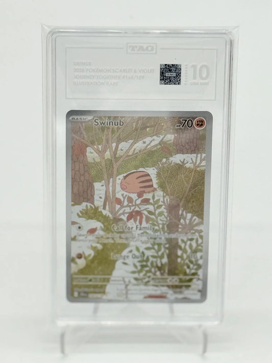 TAG 10 - Swinub #165 - Kang's Collectibles