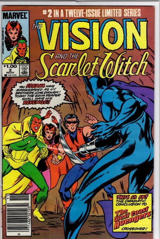 Vision and the Scarlet Witch #2 - Kang's Collectibles