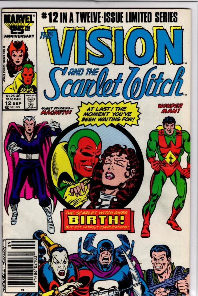 Vision and the Scarlet Witch #12 - Kang's Collectibles