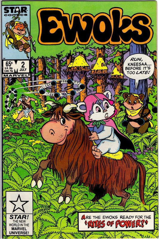 Ewoks #2 - Kang's Collectibles