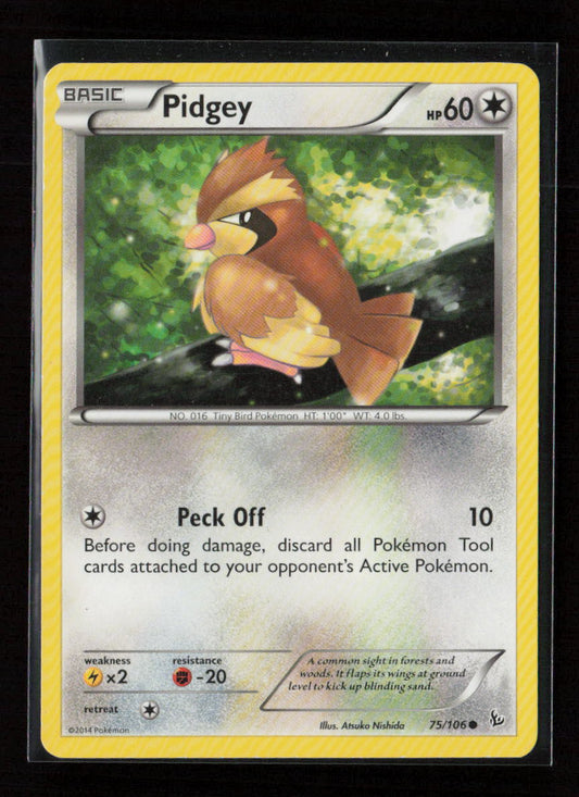 Pidgey Common XY - Flashfire 75/106 MP