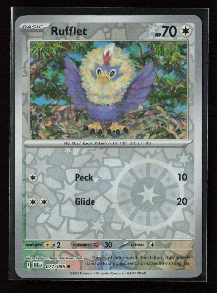 Rufflet Common SV: Black Bolt 077/086 NM - Kang's Collectibles