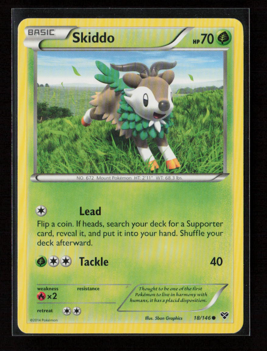 Skiddo Common XY Base Set 18/146 LP