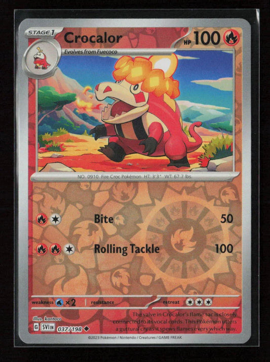 Crocalor Uncommon SV01: Scarlet & Violet Base Set 037/198 NM - Kang's Collectibles