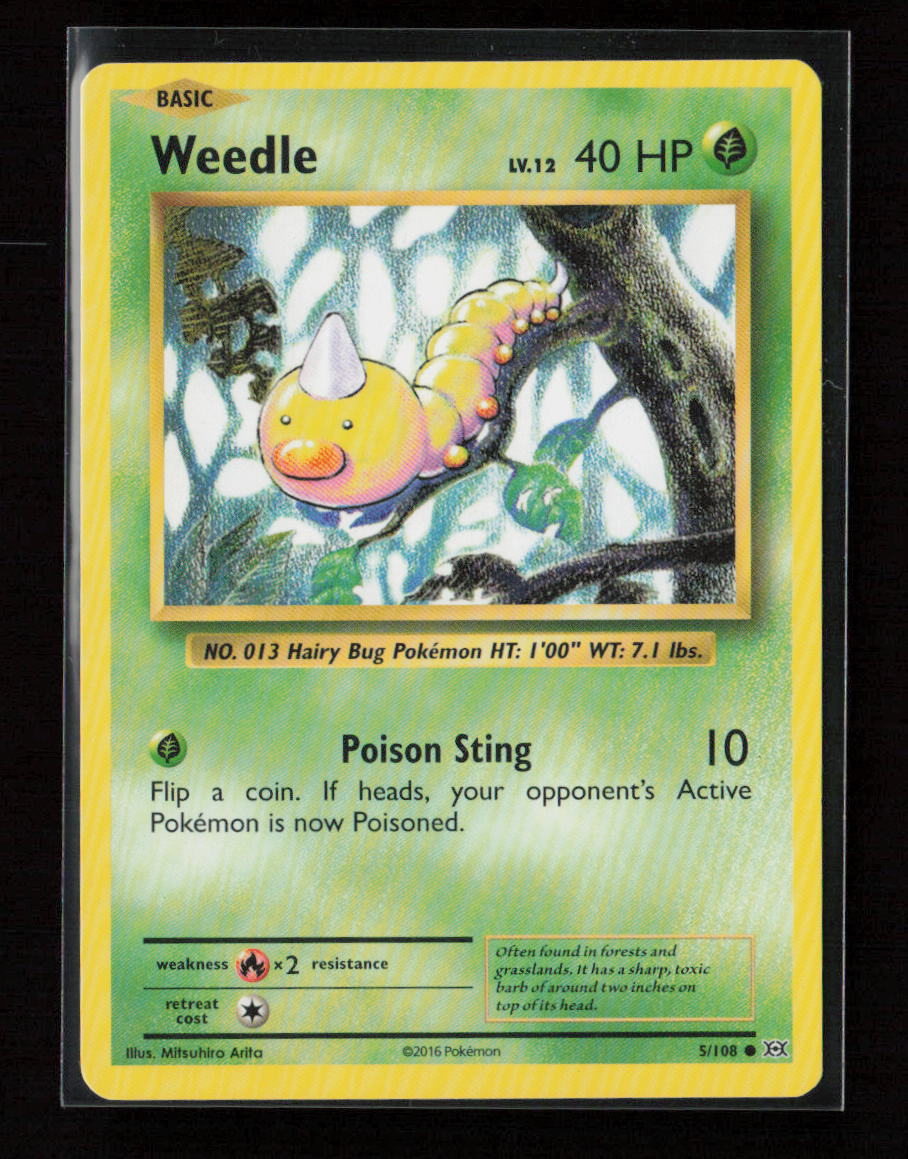Weedle Common XY - Evolutions 5/108 LP