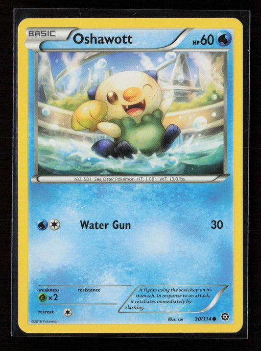 Oshawott Common XY - Steam Siege 30/114 NM