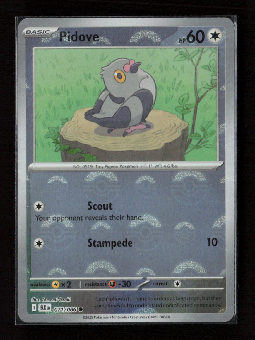 Pidove (Poke Ball Pattern) Common SV: Black Bolt 071/086 NM